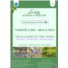 Sortie Nature Moltifao 13 juin.png