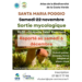 Sortie mycologique à Santa Maria Poggio